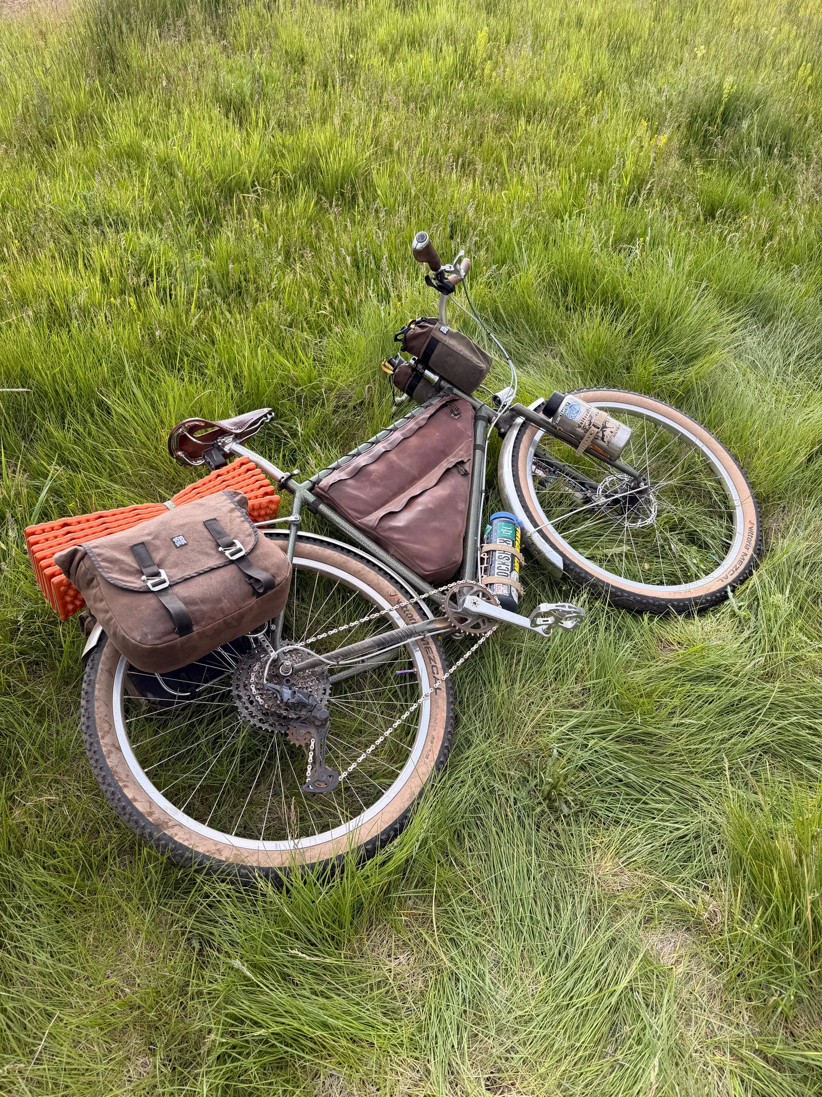 Piolet in the grass