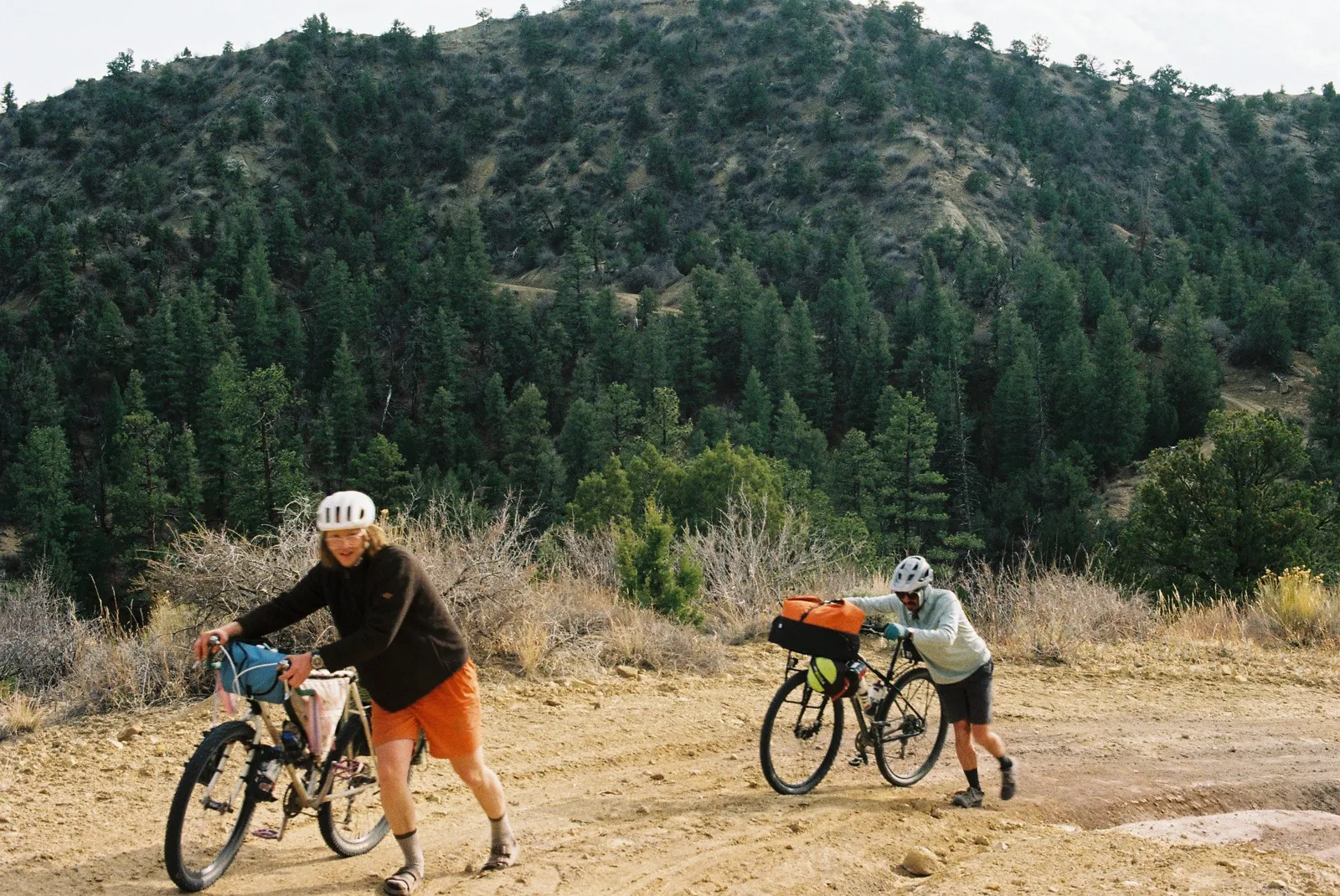 Pushing bikes up a hill